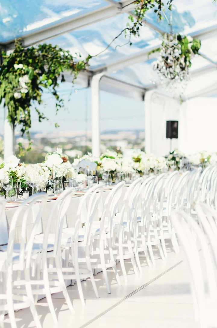 Bentwood Dining Chairs White  Copy.jpg
