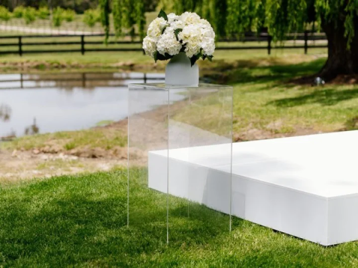Clear Perspex Plinth 1.jpeg