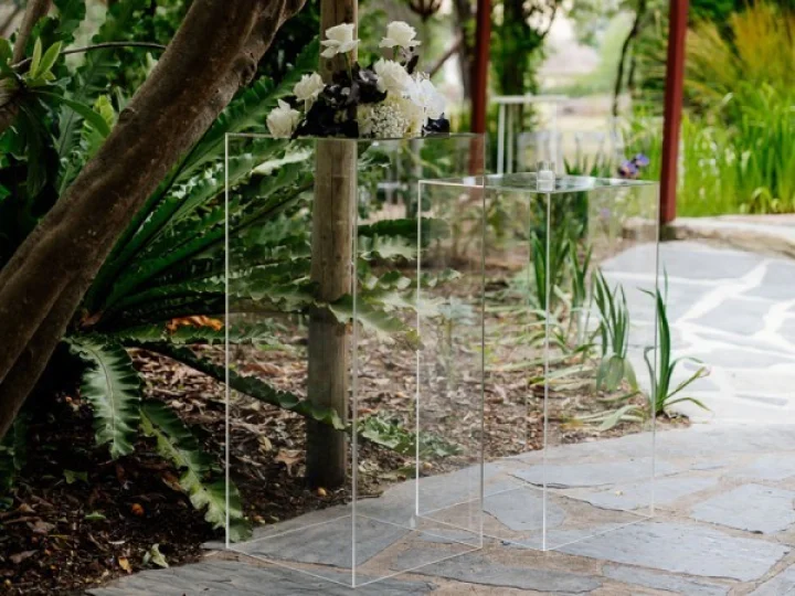 Clear Perspex Plinth 1 Copy.jpeg