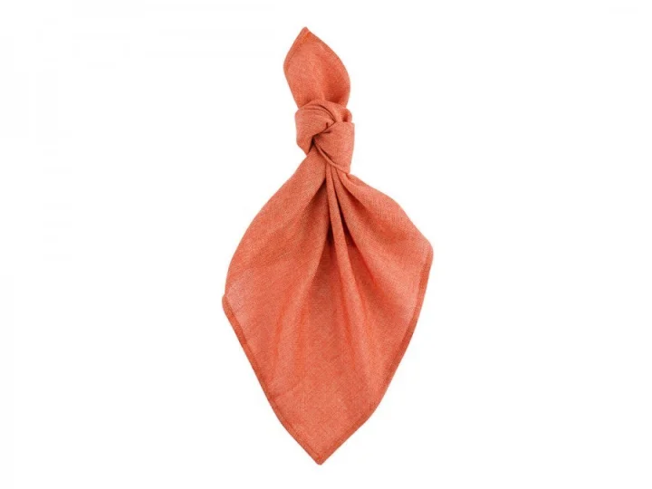 Coral Napkin   Fold.jpeg