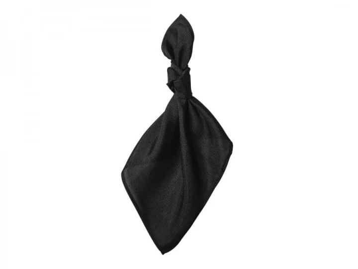 Linen Nakpkin Knot   Black.jpeg