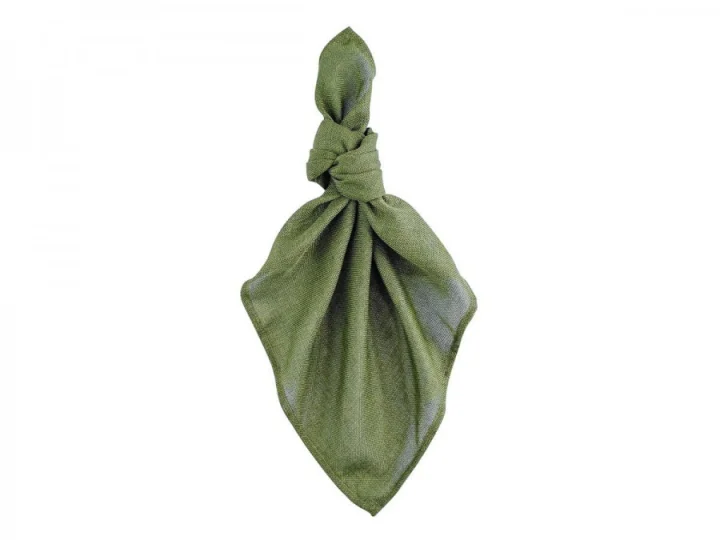 Olive Green Napkin   Fold.jpeg