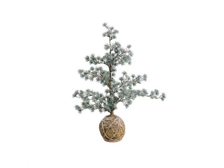 Akita Needle Tree   Small .jpg