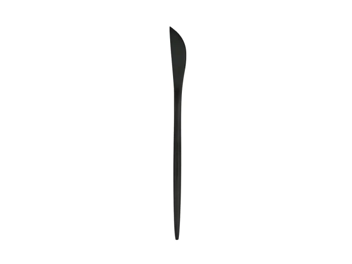 Black Entree Knife.jpg
