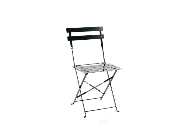 Botanical Chair   Black .jpg