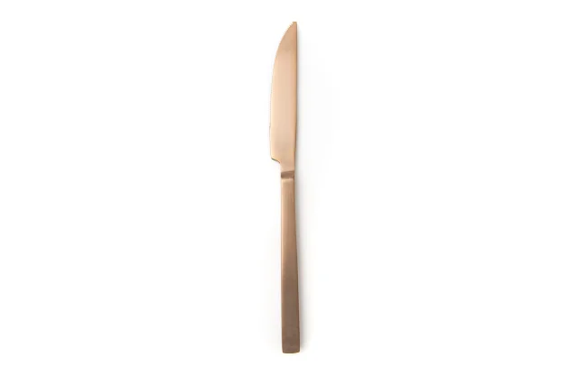 Dinner Knife Copper .jpg