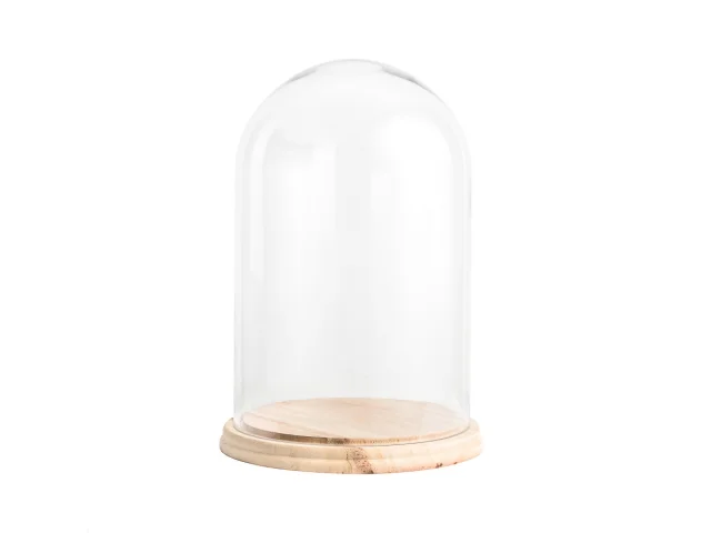 Large Dome .jpg