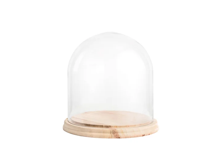 Medium Dome .jpg
