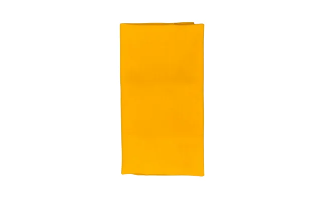 Poly Egg Yolk.png