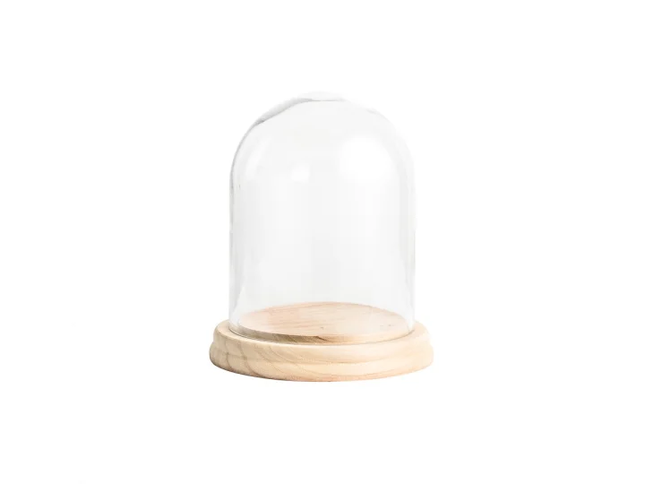 Small Dome .jpg