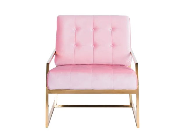 Zara Armchair Gold   Pink.jpg