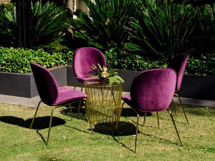 Zara Burgundy Dining Chair 1.jpeg